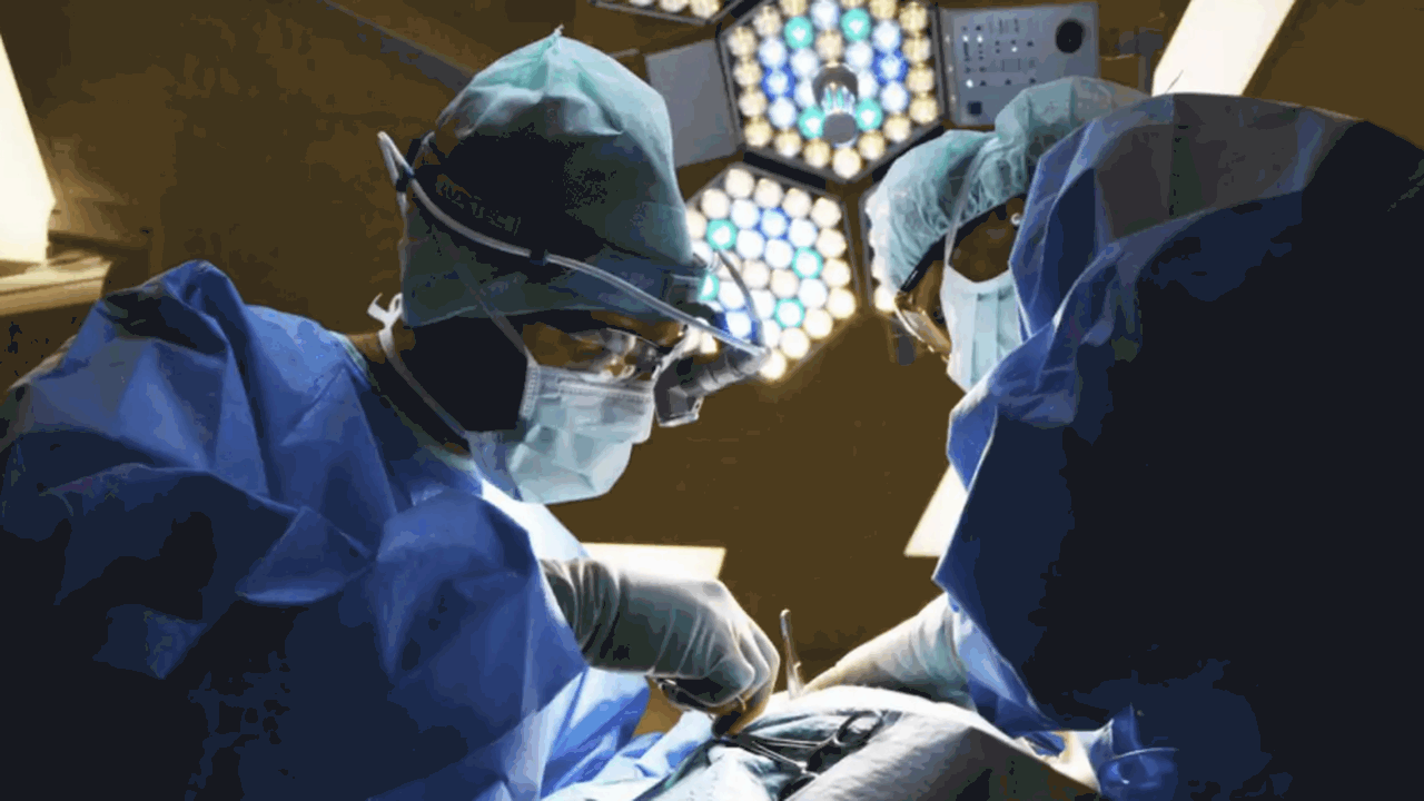 Международная группа исследователей представила...