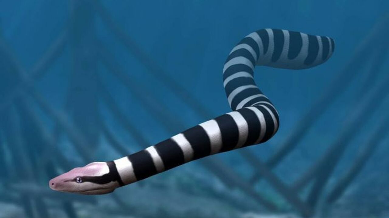 Археологические раскопки на территории Крыма пр...