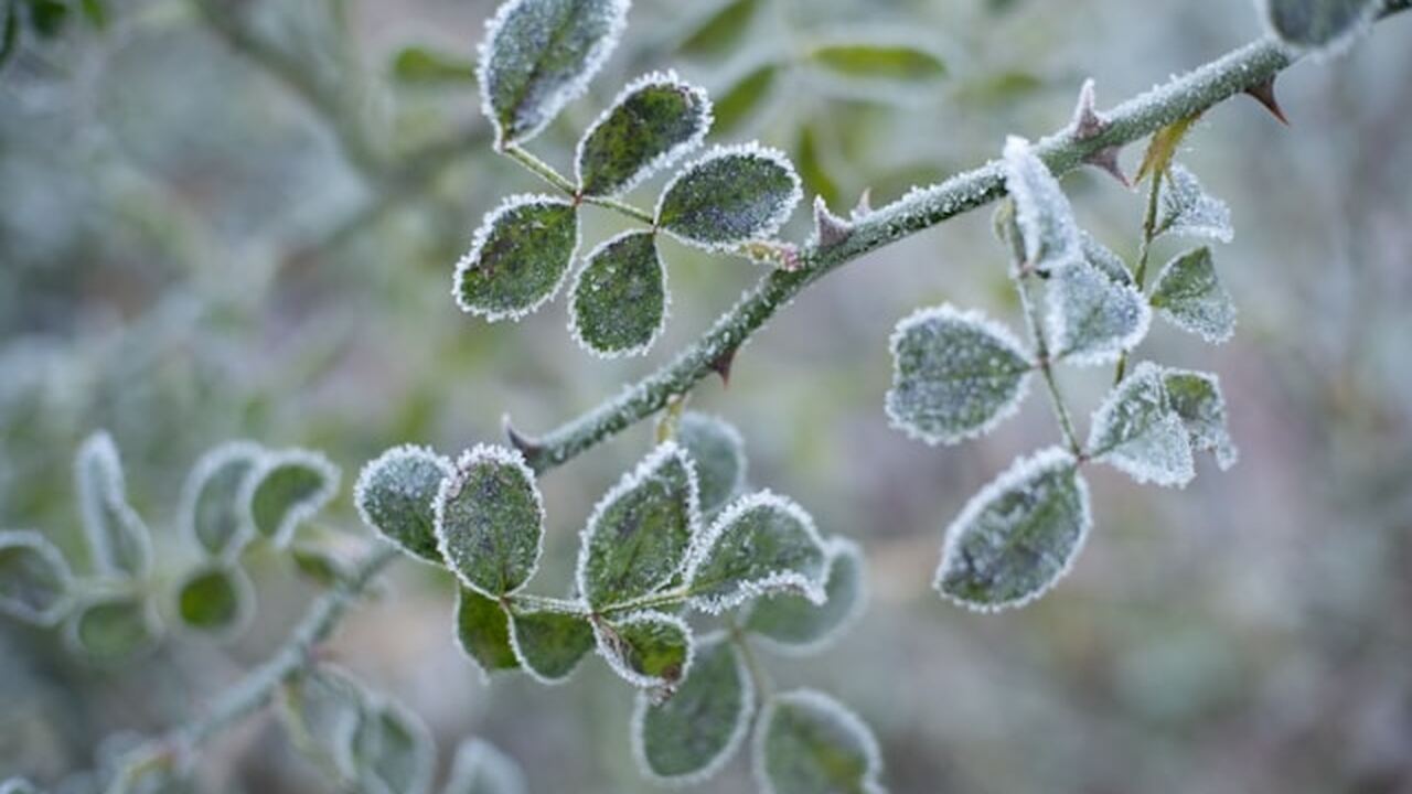 В апреле на территории Крыма возможны возвратны...