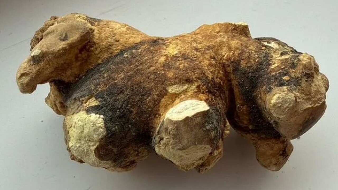 В Симферополь появилось необычное объявление о ...