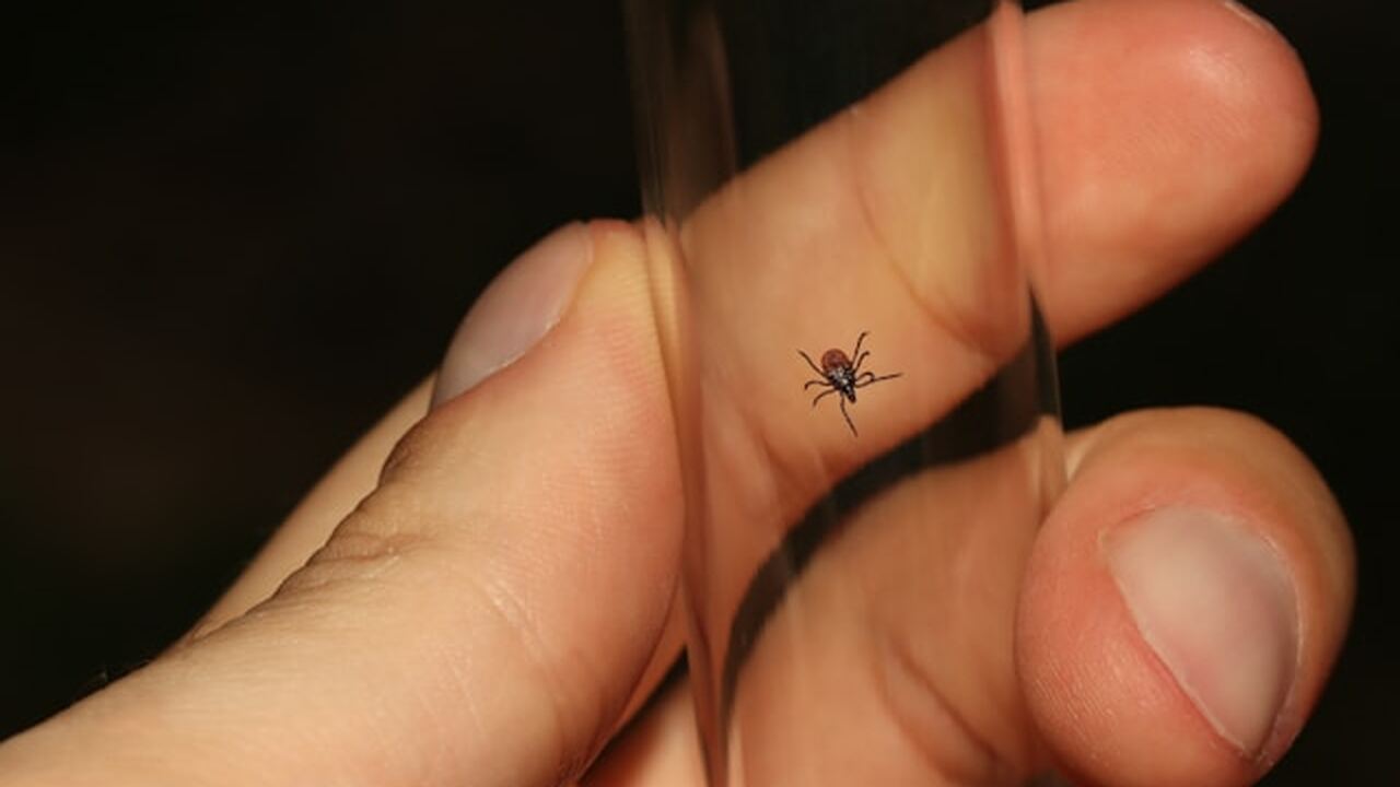 В южных регионах России с началом сезона отмече...