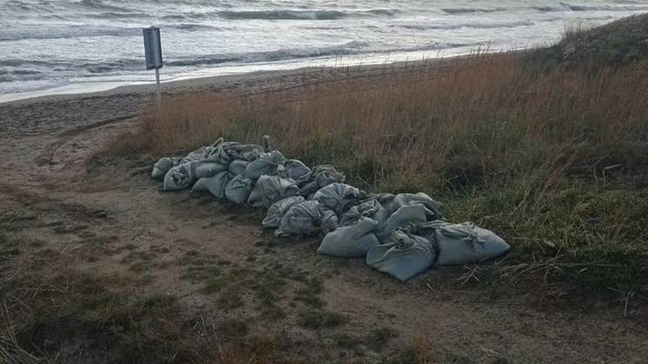 На крымском побережье вновь зафиксированы эколо...