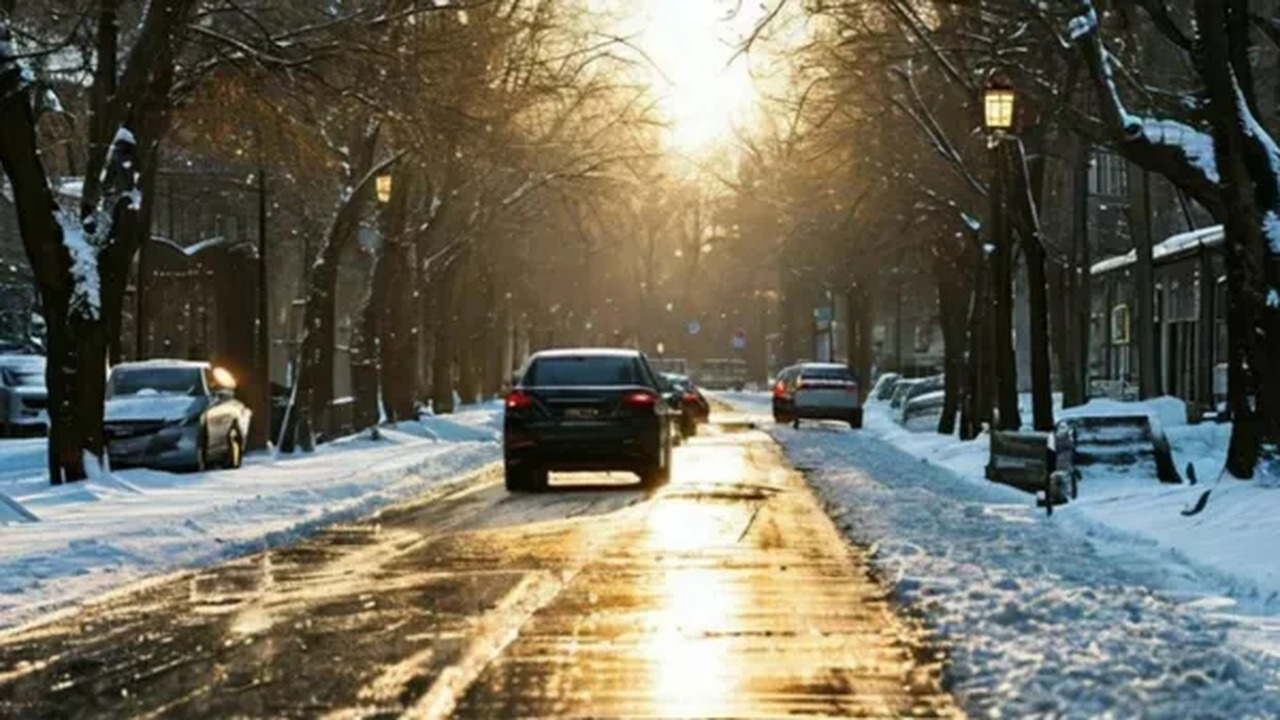 В условиях переменчивой погоды, когда заморозки...