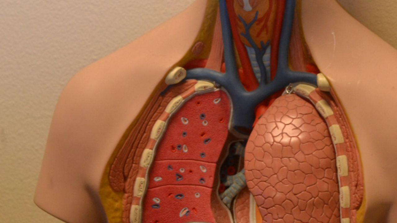 Ученые из Великобритании сообщили о результатах...