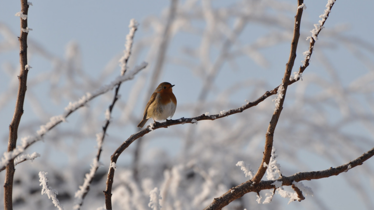 Метеорологи прогнозируют затяжной период нестаб...