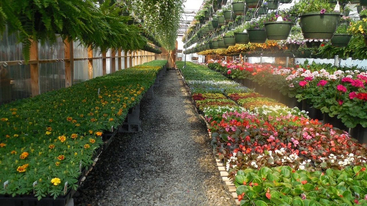 Аномально теплая зимняя погода оказала значител...