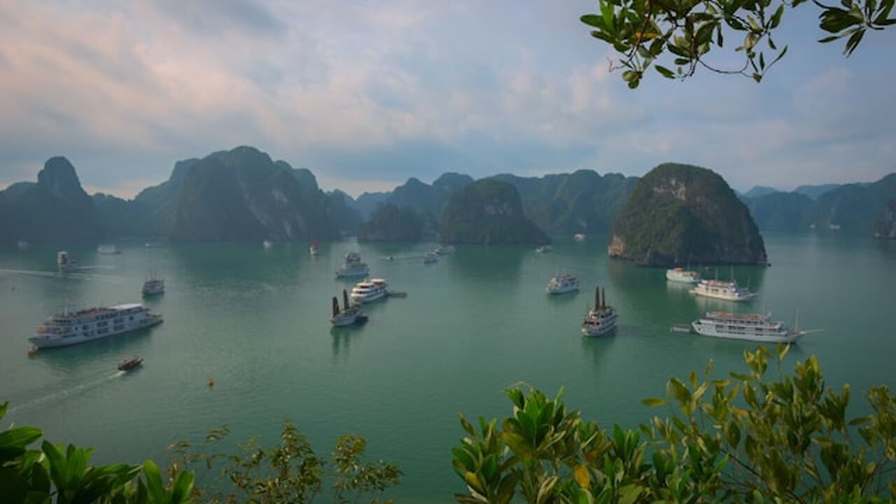 Отдыхающие во Вьетнаме все чаще сообщают о ситу...