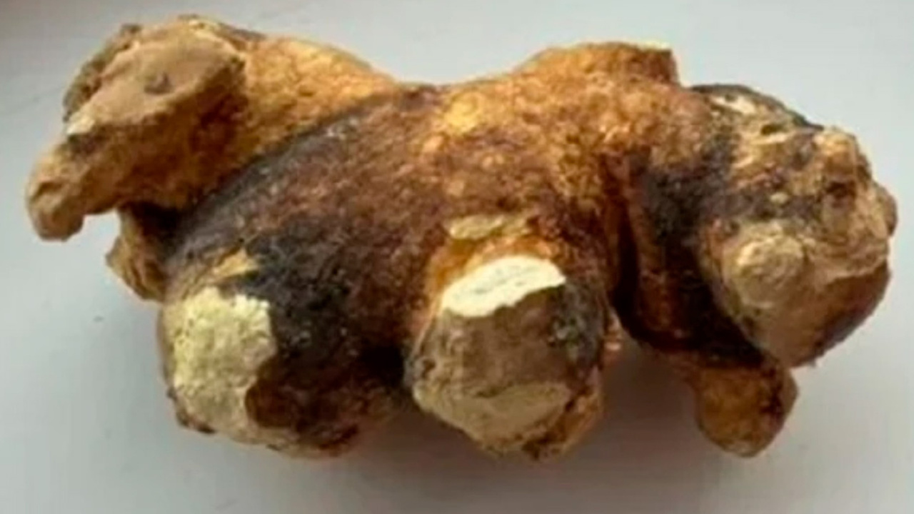 Жительница Симферополя разместила объявление о ...