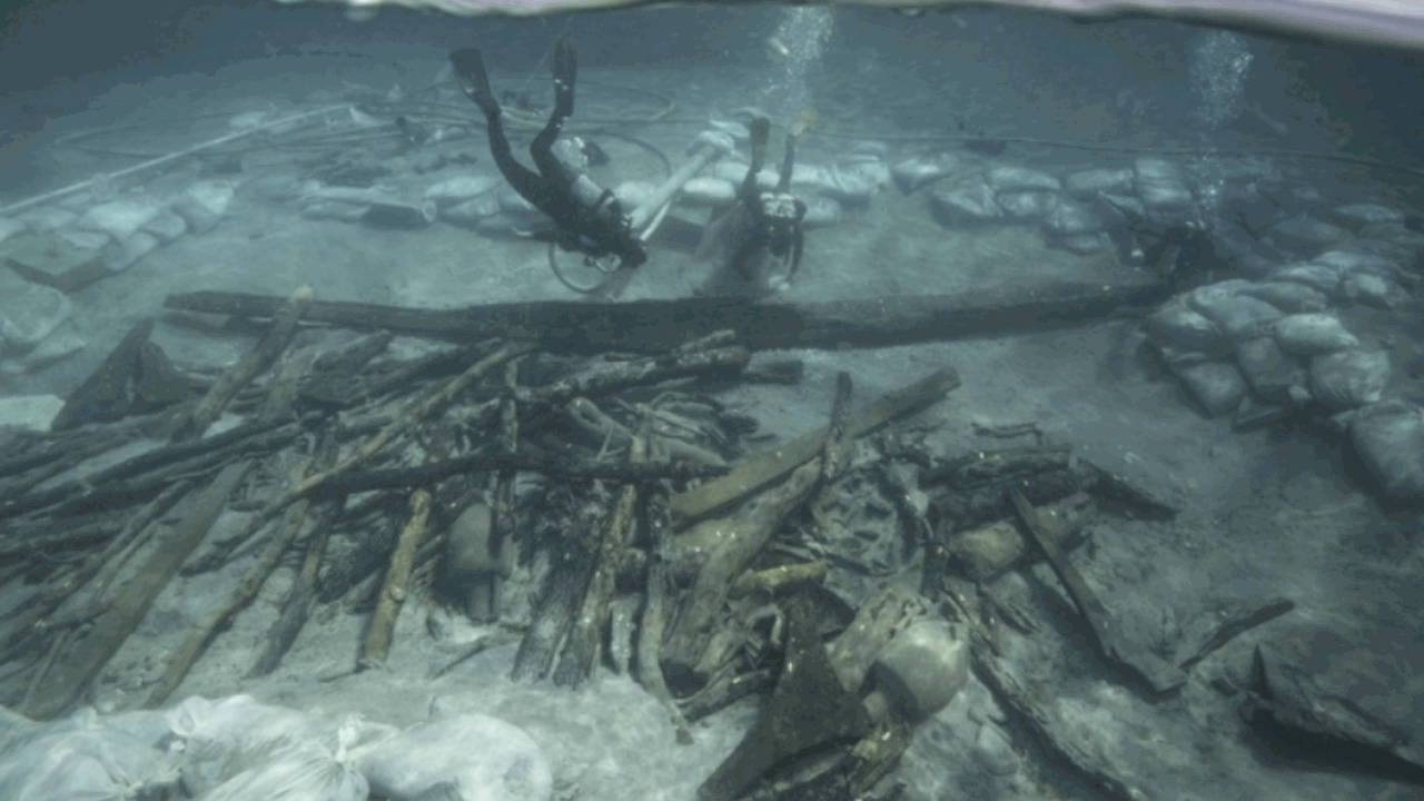 Исследователи установили, каким веществом обраб...