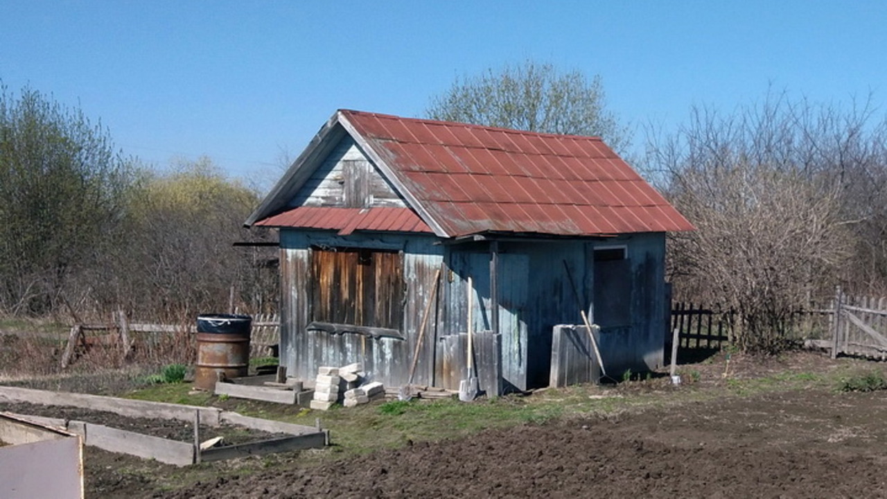 Огород без родни: почему помощь близких может стоить урожая Для многих садоводов собственный участок – это ...