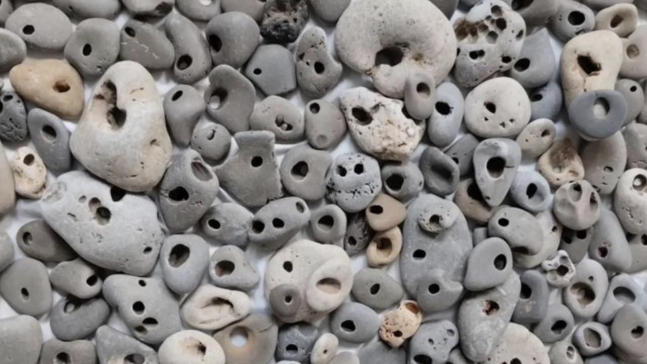 В Ялте выставлена на продажу уникальная коллекц...