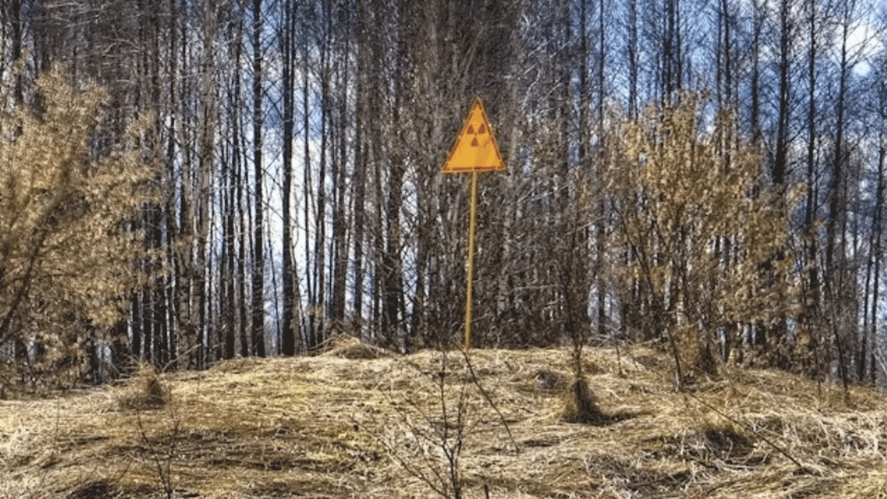 Заведующий кафедрой зоологии Тверского универси...