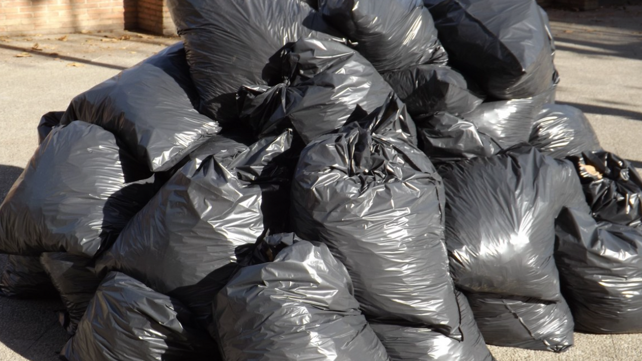 Учёные из Улан-Удэ и Томска провели первое иссл...