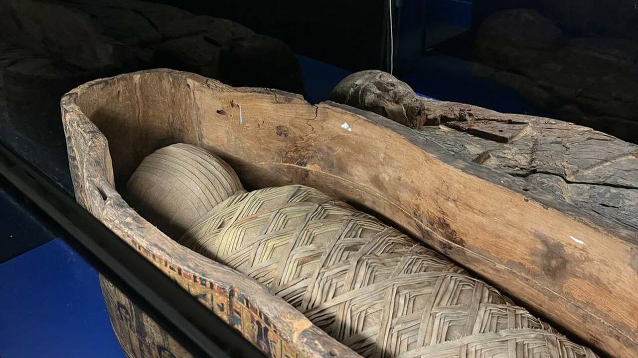 Исследователи из Университета Южной Калифорнии ...