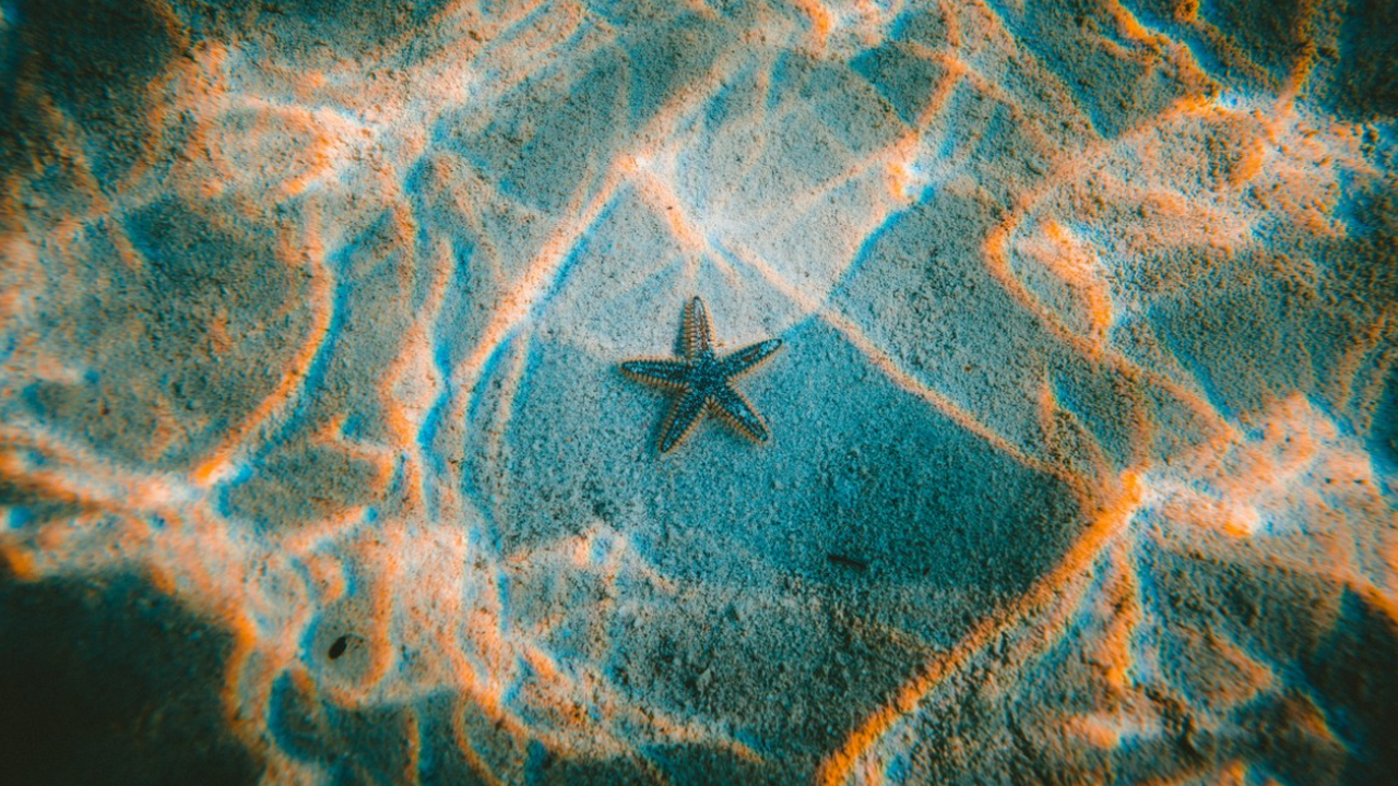 Учёные сделали шокирующее открытие: скрытые мор...