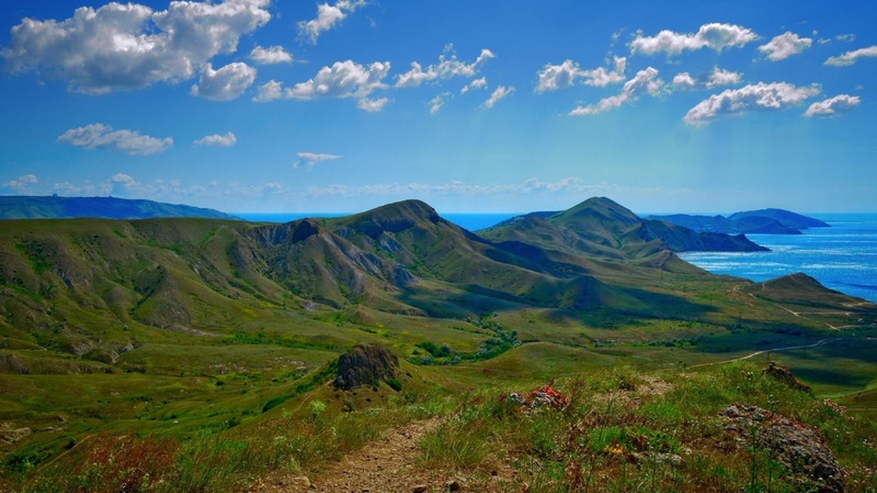 Власти Крыма не видят целесообразности во введе...