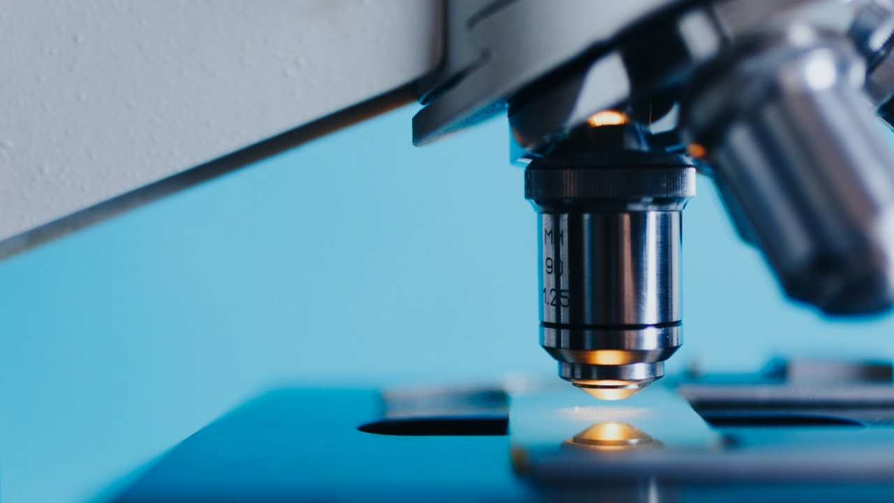 Исследователи обнаружили генетический механизм,...