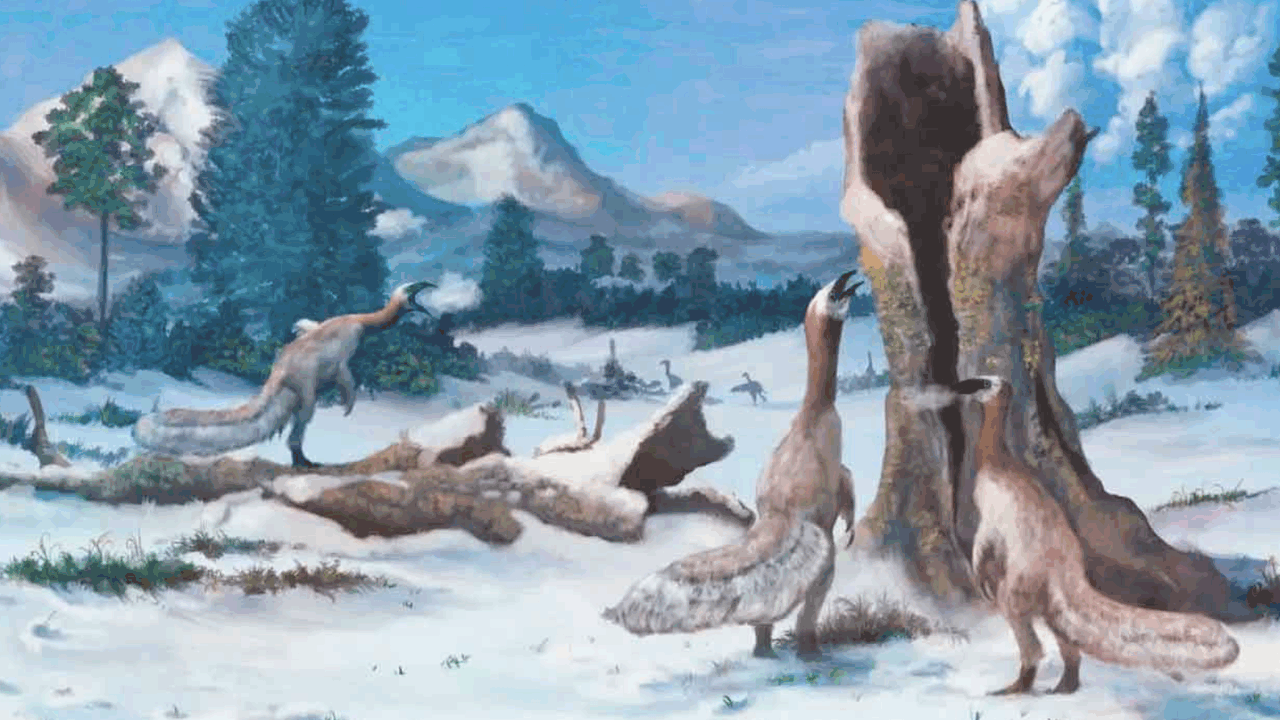 Международная группа палеонтологов предложила н...