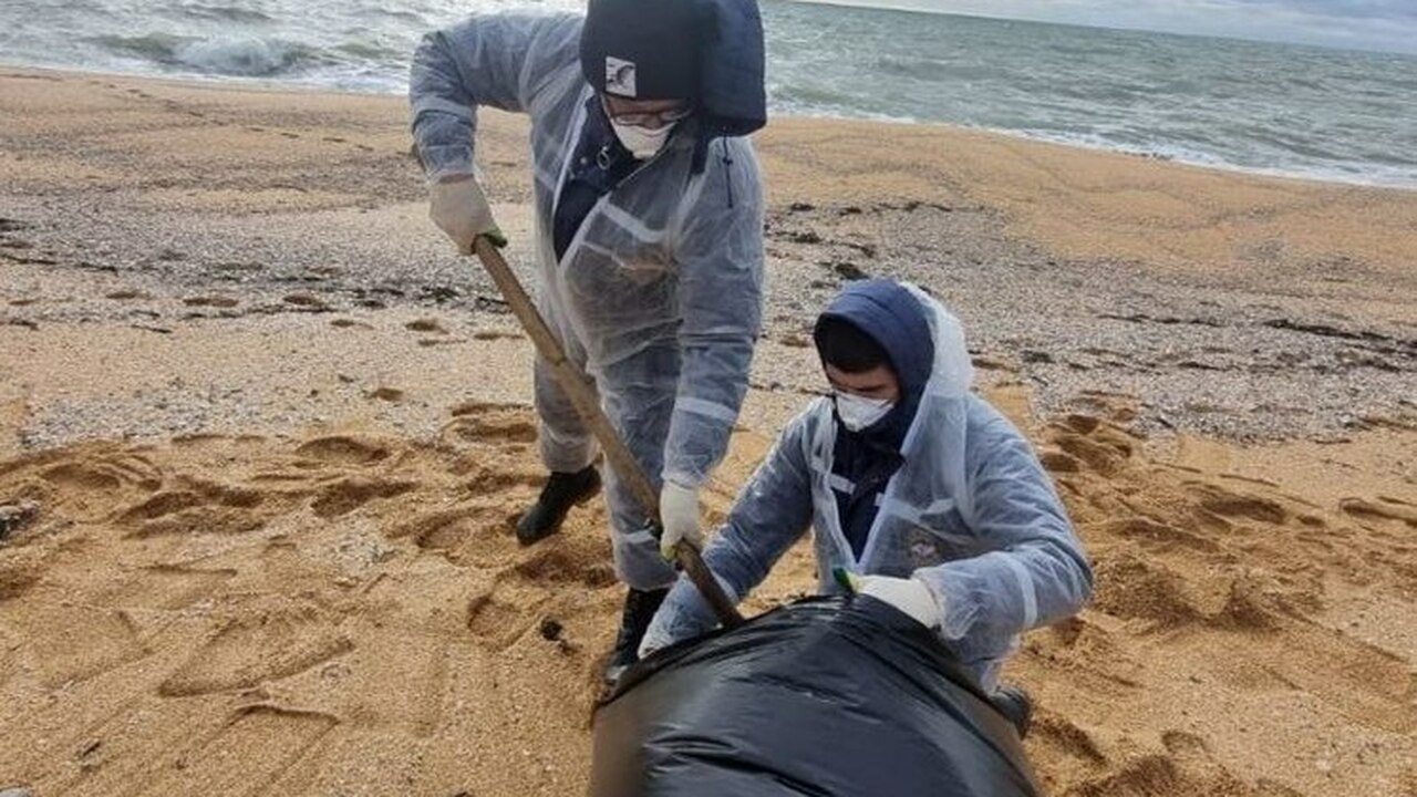 В районе живописного мыса Опук на Крымском полу...