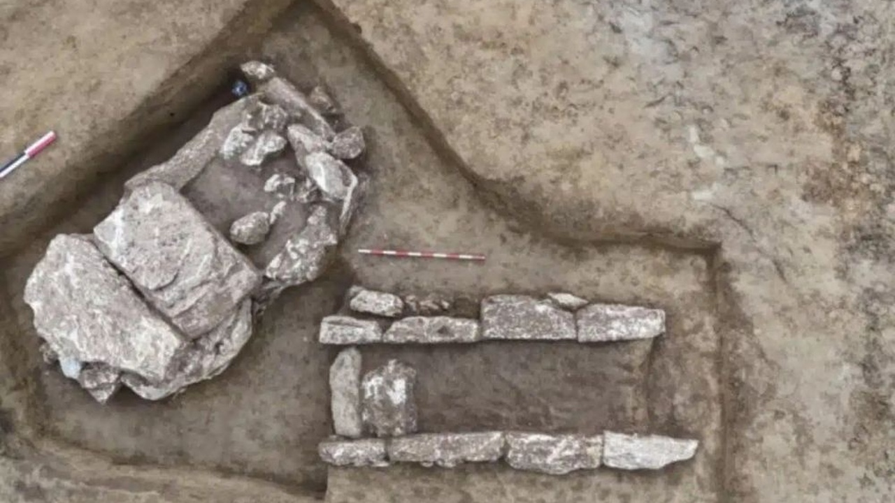 В Несебре на территории средней школы имени Люб...