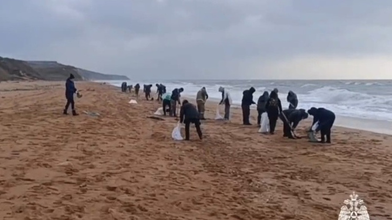 В Ленинском районе Крыма стартовала масштабная ...