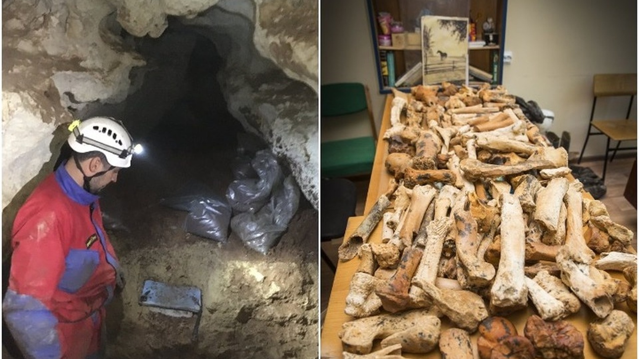 В пещере «Таврида» в Белогорском районе Крыма у...