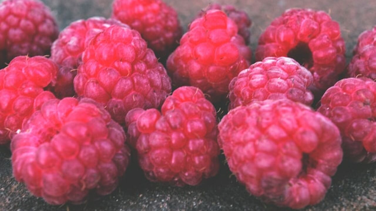 Аграрии Крыма рассчитывают в 2026 году получить...