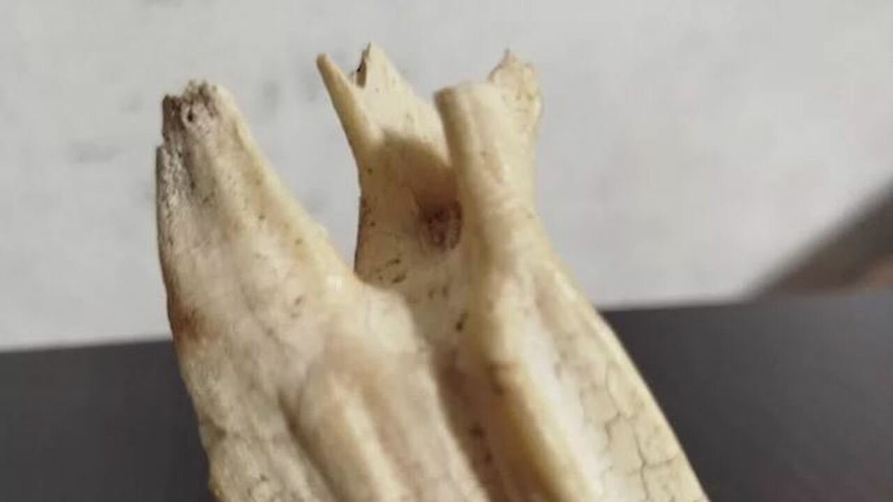 В Крыму появилось уникальное предложение для ко...