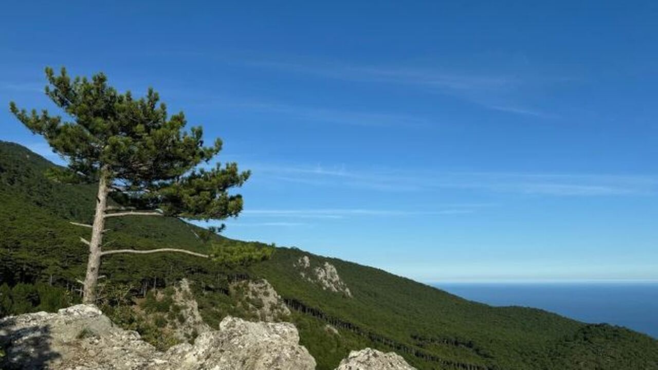 В Крыму создадут карбоновый полигон в Карадагск...