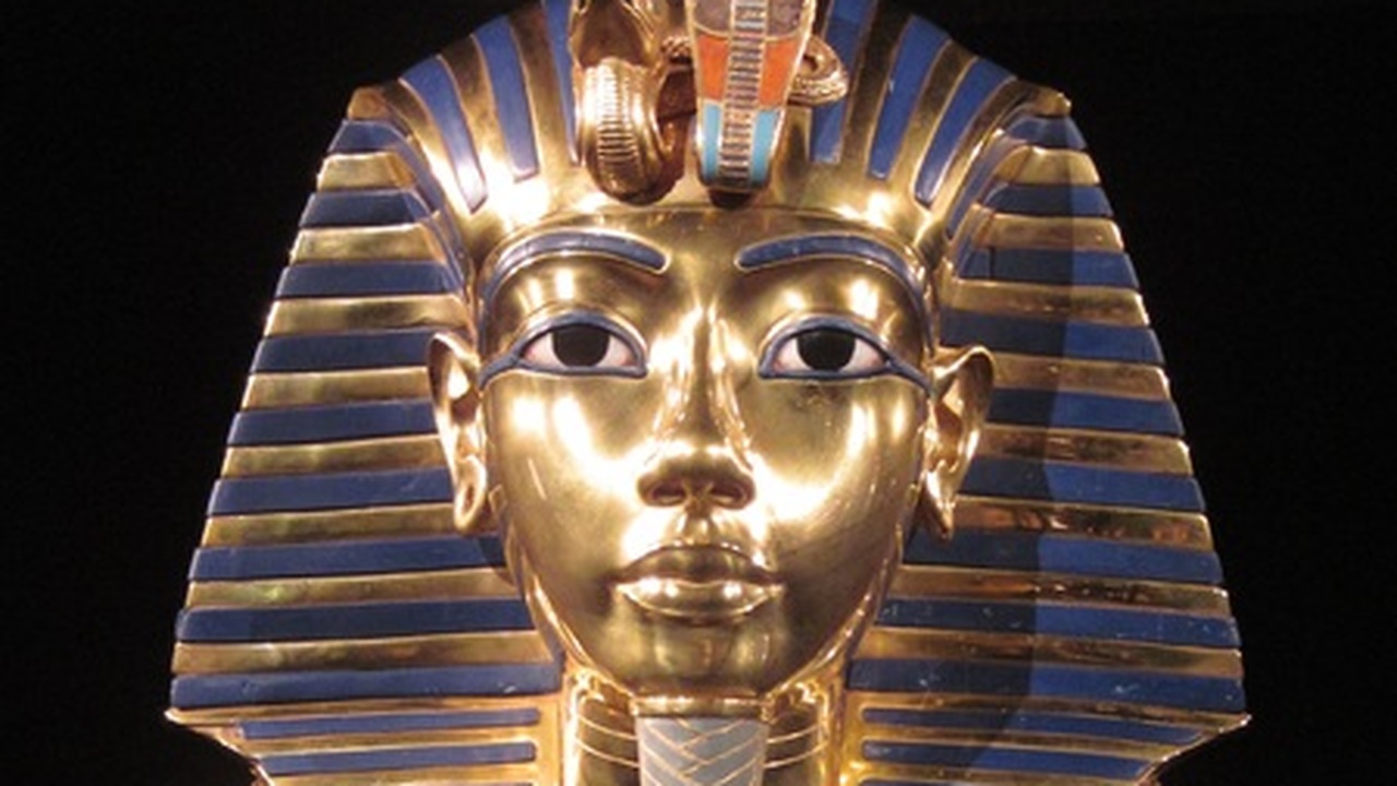 Новосибирские ученые представили результаты исс...