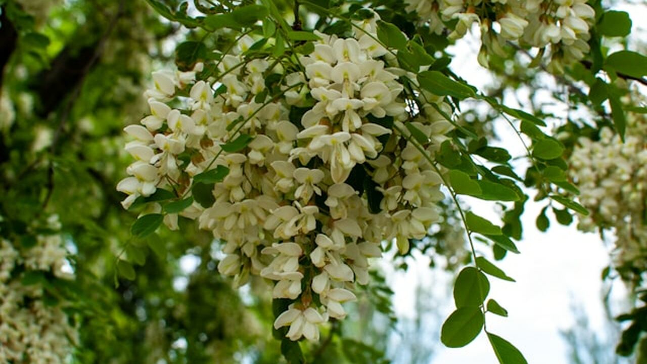 Учёные из Института науки и технологий Государс...