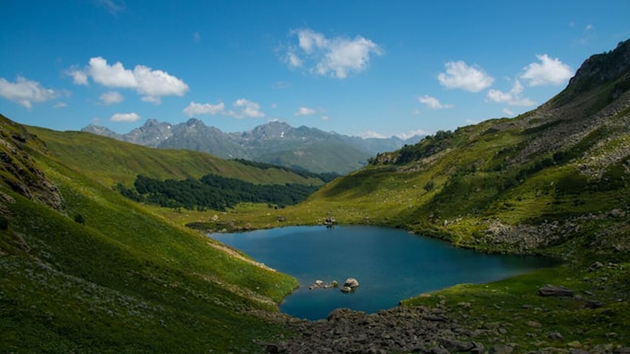Исследователи заявили, что экосистемы могут вос...