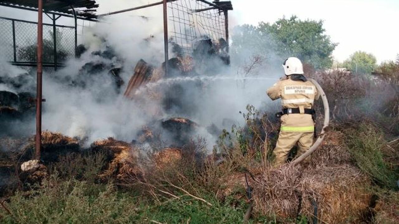 В Крыму с 7 по 13 октября произошло более 60 по...