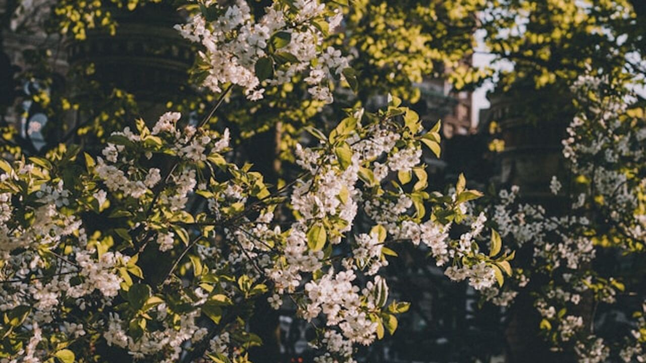 2026 год обещает быть временем перемен и новых ...