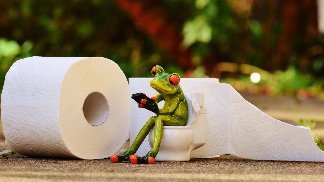 Туалетная бумага в прошлом - появилась эффективная альтернатива: в Европе давно используют, а мы только начинаем В Европе биде и гигиенический душ давно стали н...