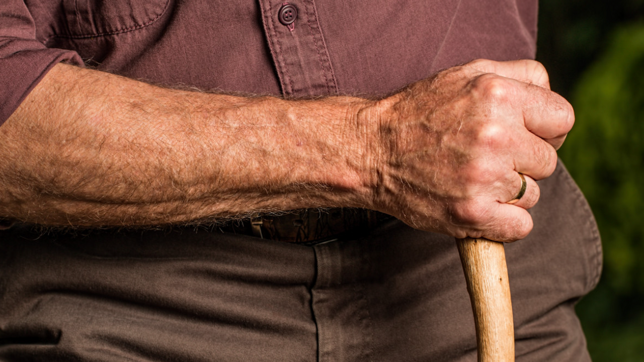 Исследование американских ученых показало, что ...