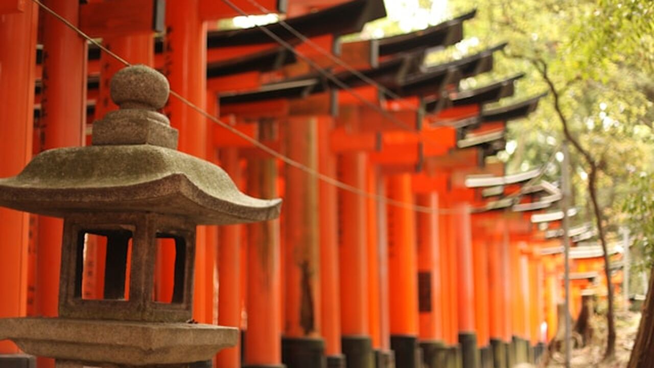 Эксперт, переехавшая в Японию и проживающая там...