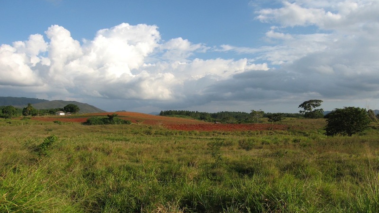 Ситуация вокруг садоводческого некоммерческого ...