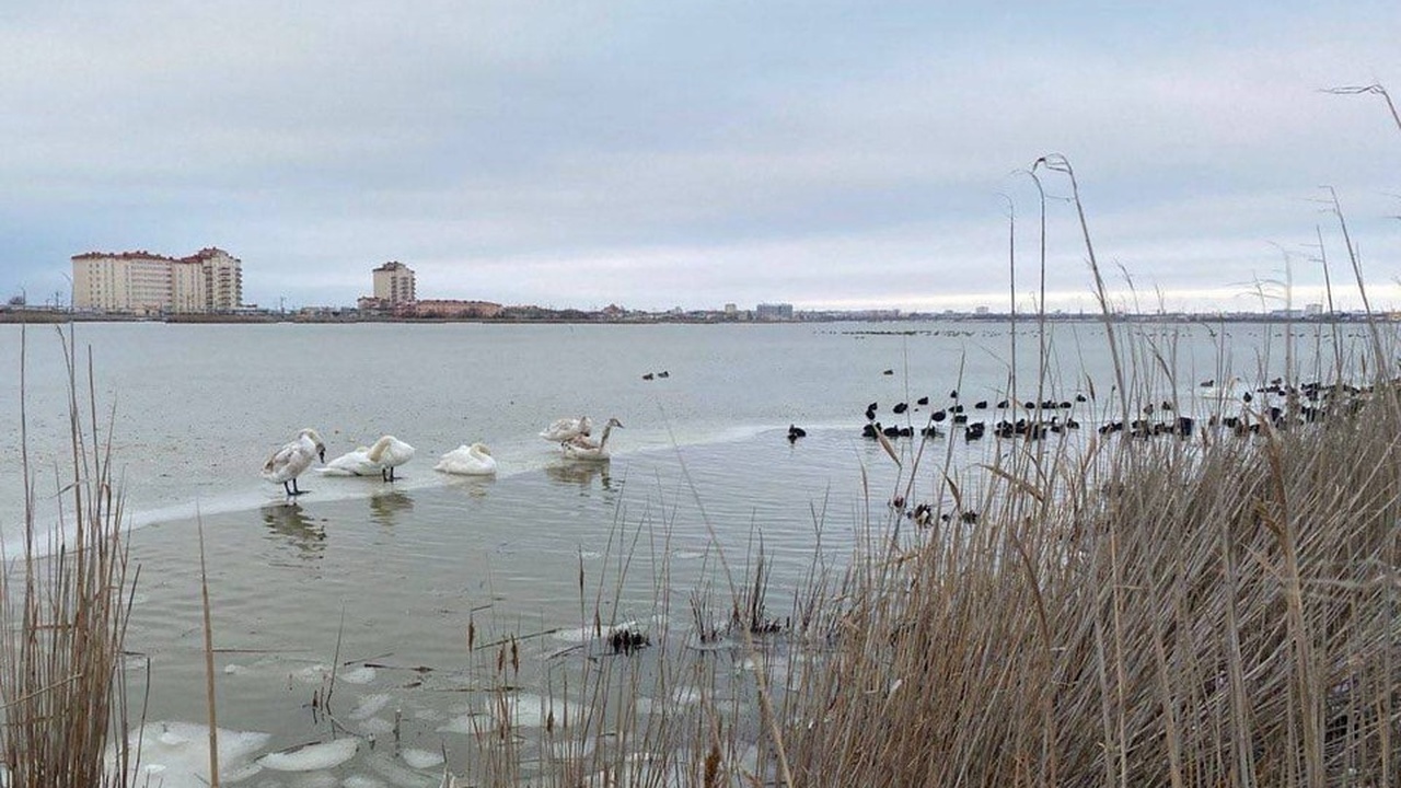 Несмотря на установившиеся в Крыму низкие темпе...