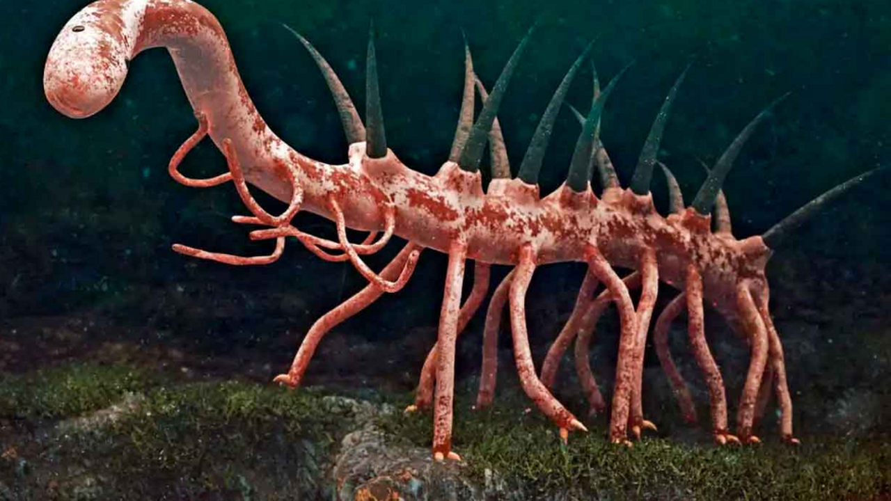 Палеонтологи, возможно, раскрыли одну из главны...