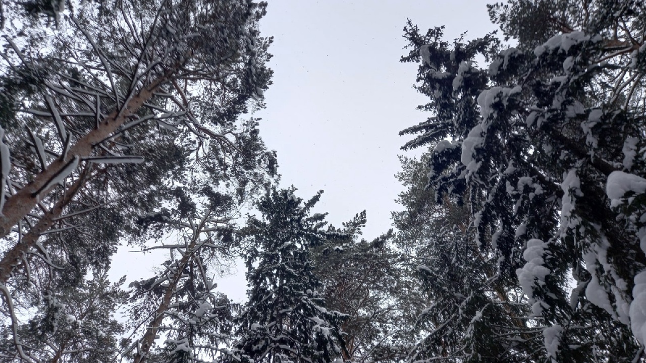 Человечество неосознанно создало вокруг Земли з...