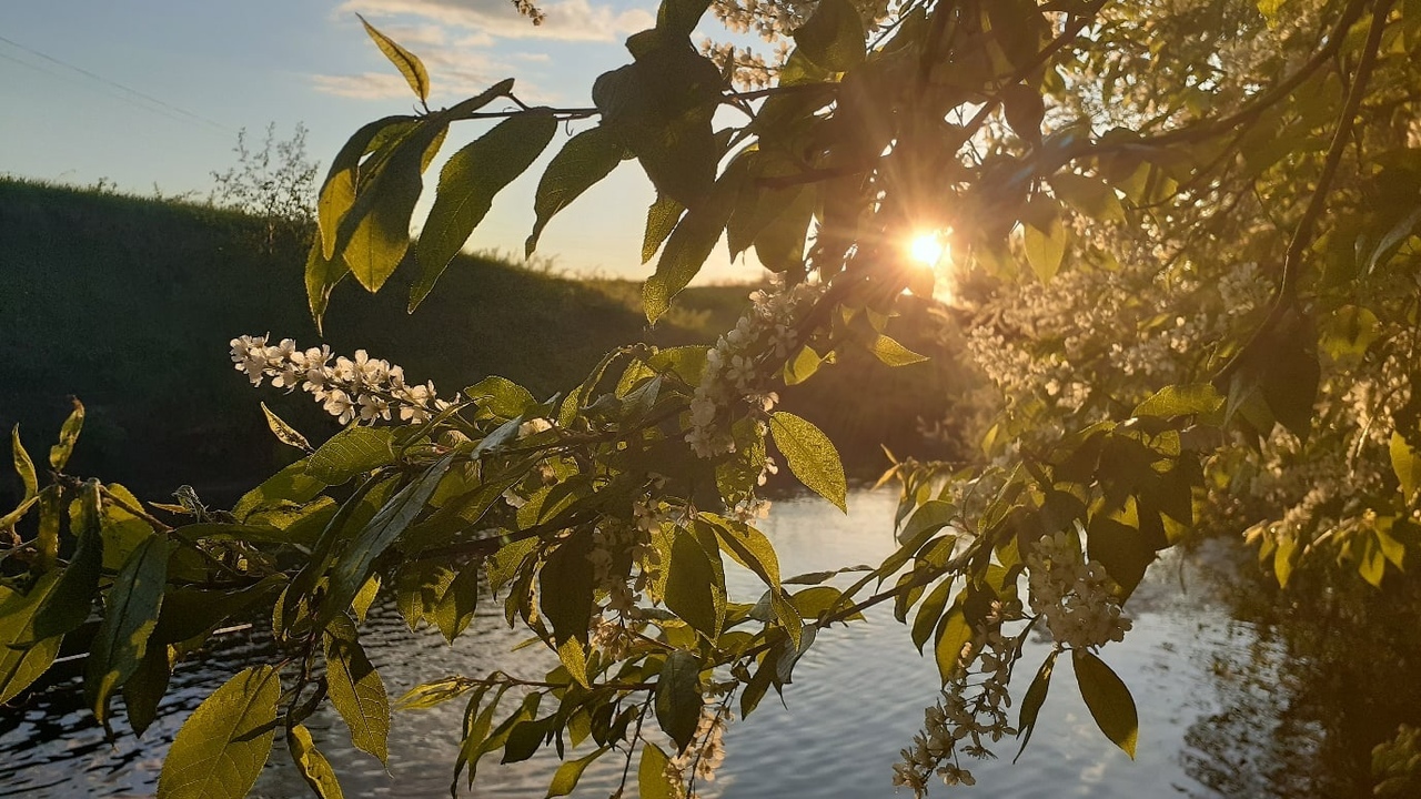 Метеорологи сообщили, когда в России скоро окон...