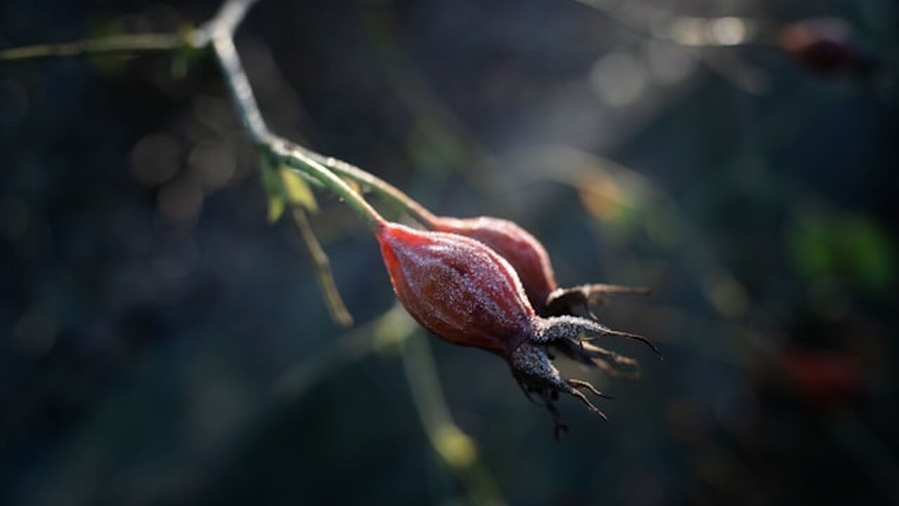 В Республике Крым введено экстренное предупрежд...