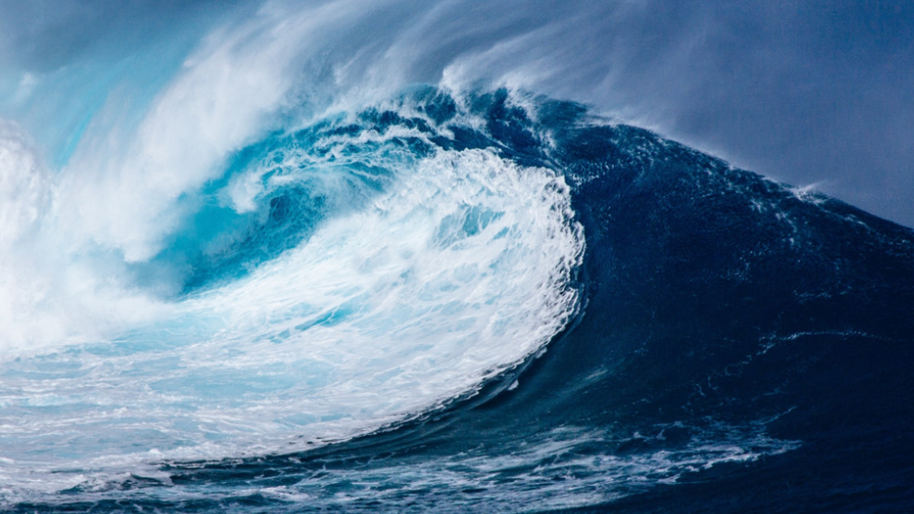 Ученые обнаружили, что тонущие скопления погибш...