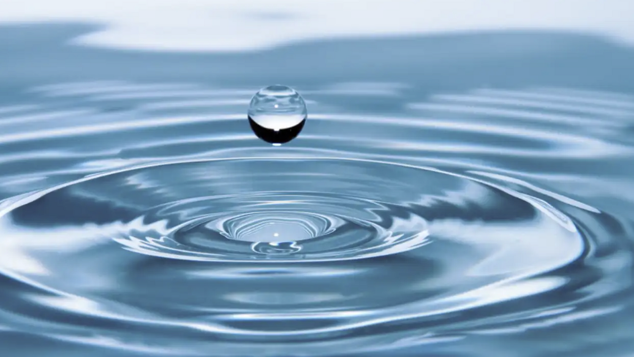 Специалисты в области медицины и экологии отмеч...