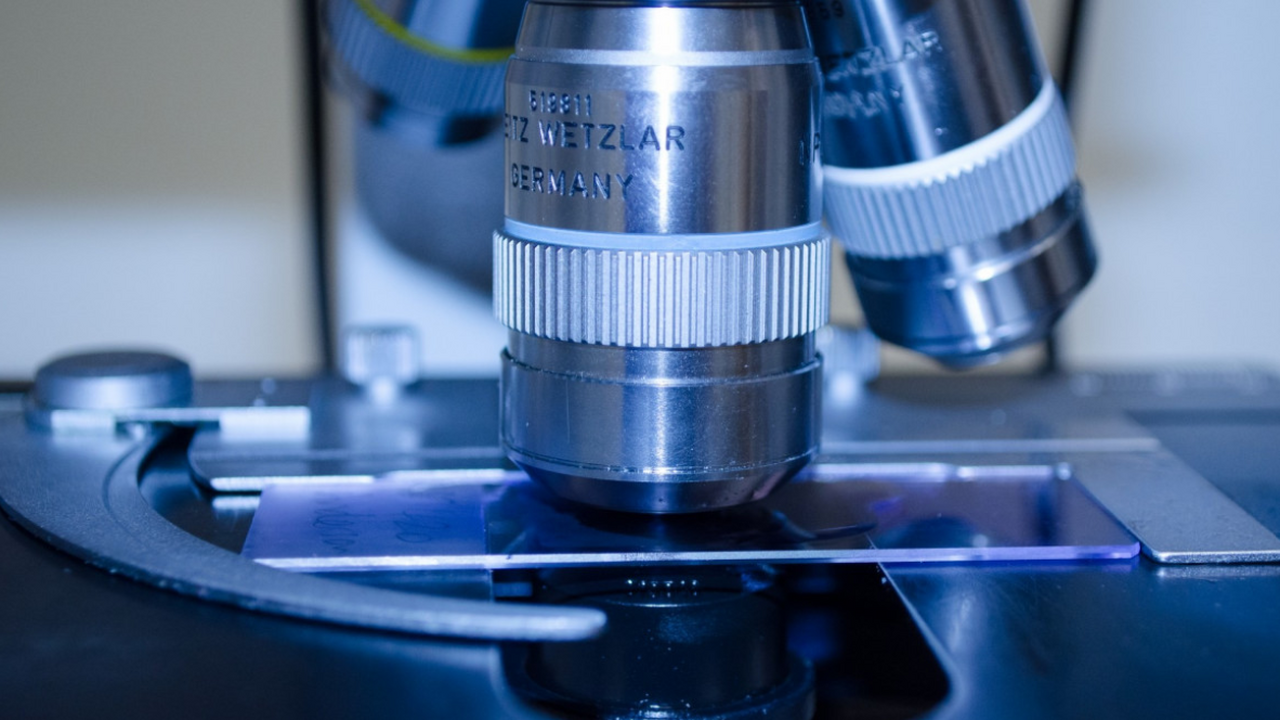 Сяомин: анализ ДНК подтвердил существование народа бо На юго-востоке Китая археологи выявили новые св...