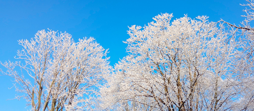 Синоптики прогнозируют возможность снежной ново...