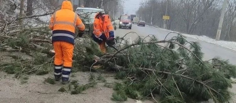 Штормовой ветер повалил деревья на трассах Крыма и затруднил движение Сильный штормовой ветер стал причиной падения д...