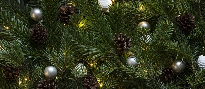 В преддверии новогодних торжеств специалисты в ...