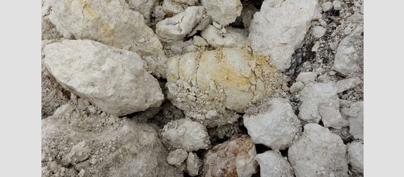 В Симферополе обнаружена уникальная палеонтолог...